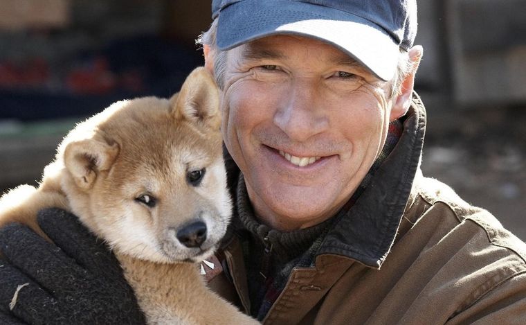 Siempre a tu lado está protagonizada por Richard Gere y Joan Allen