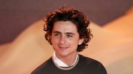 Timothée Chalamet es uno de los actores del momento