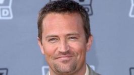 Quienes heredarán la fortuna de Matthew Perry.