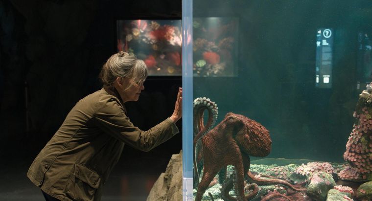 Criaturas luminosas llegó este viernes a Netflix Criaturas luminosas llegó este viernes a Netflix