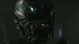 El xenomorfo llega a HBO con tres de sus películas, las más aclamadas. El xenomorfo llega a HBO con tres de sus películas, las más aclamadas.