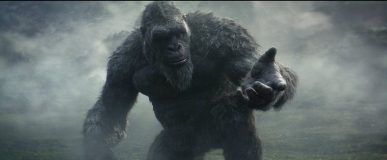 Kong necesita la ayuda de Godzilla