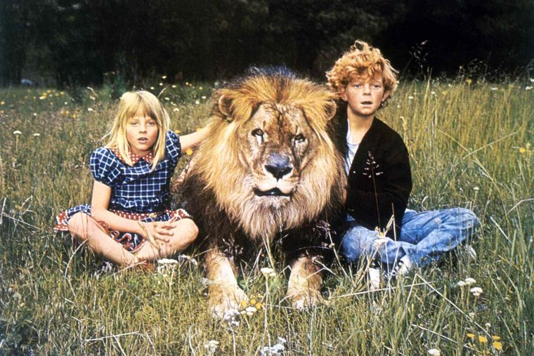 Jodie Foster recordó un traumático accidente en un set de filmación.&nbsp;