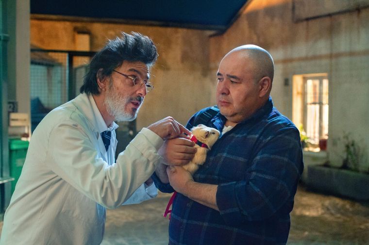 Calle de la Humanidad, 8 se toma con humor la pandemia.