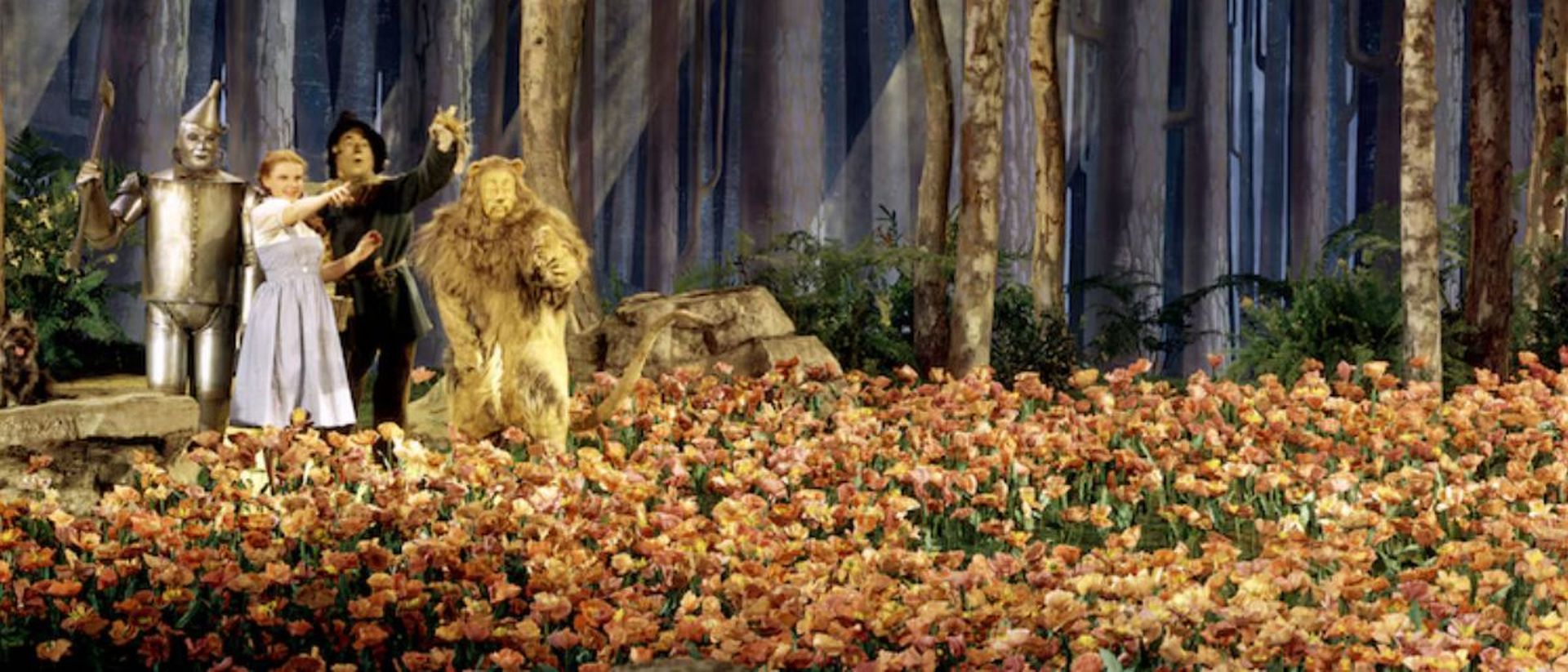 Tim Burton estuvo a punto de darle vida a una historia alternativa de El mago de Oz.
