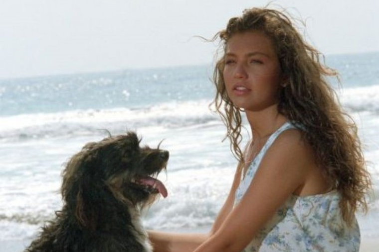 Pulgoso, el perro callejero que se hizo famoso en Marimar y enamoró al público.