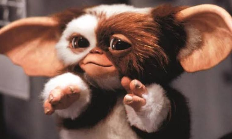Gizmo, el tierno y adorable mogwai. Gizmo, el tierno y adorable mogwai.