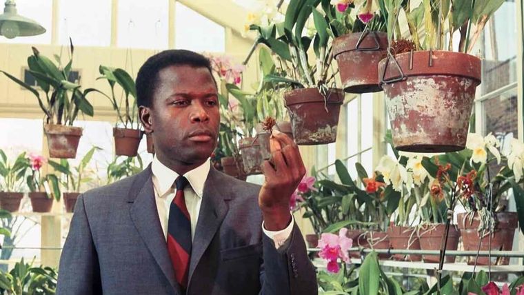 Sidney Poitier