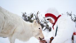 Que Ver | Robo es una nueva película dramática que tiene una duración de 95 minutos