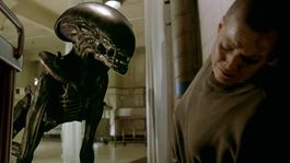james cameron vuelve a expresar su odio al giro mas importante de alien 3: me parecio una m...