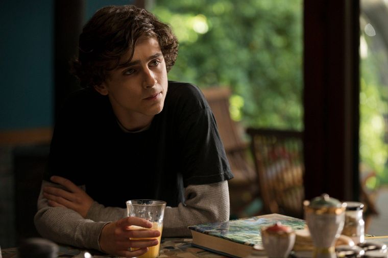 Timothée Chalamet en Beautiful Boy
