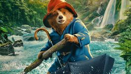 Ideales para disfrutar en familia&nbsp;