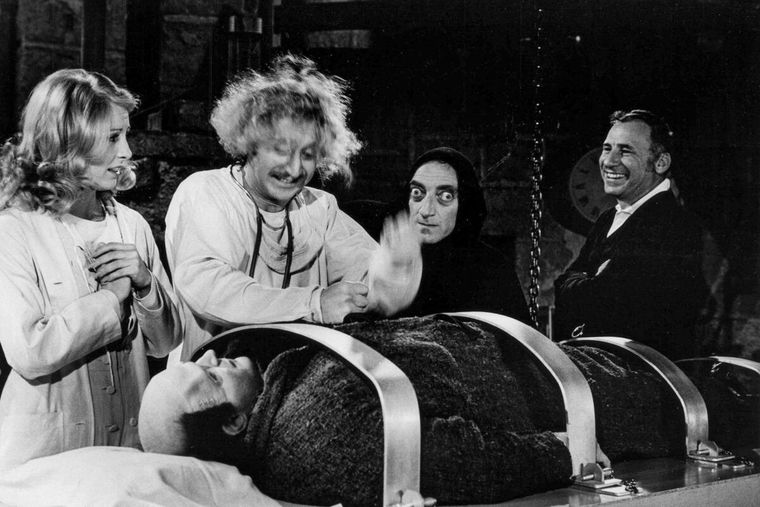 Una divertida parodia con Gene Wilder de protagonista. Una divertida parodia con Gene Wilder de protagonista.