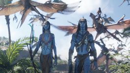 Que Ver | avatar-fire-and-ash-neytiri-jake-sully