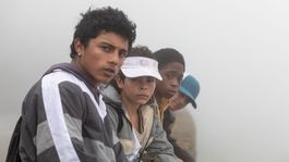 La aclamada película colombiana llegó a la plataforma de streaming