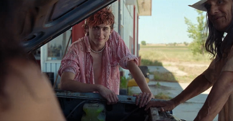 Timothée Chalamet se mete en un romance caníbal