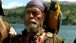 Cotton, el pirata sin lengua