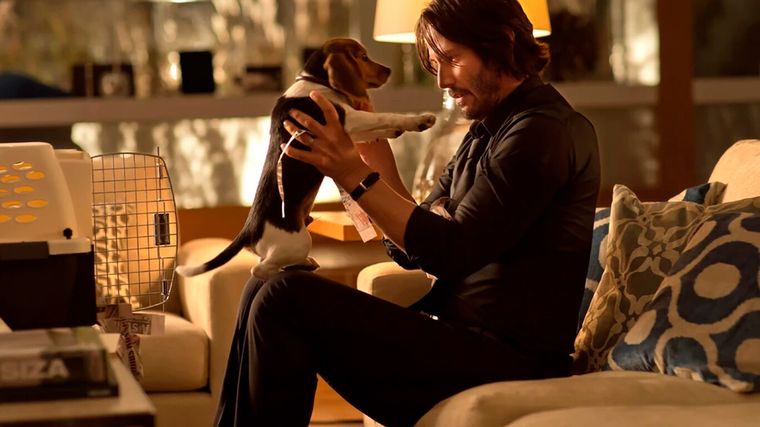 John Wick junto a su perra Daisy. John Wick junto a su perra Daisy. 