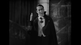 No es Bela Lugosi, es Nicolas Cage