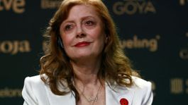 Susan Sarandon obligada a alejarse de Hollwyood&nbsp;