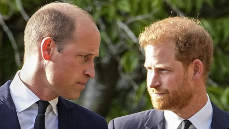 El Príncipe de Gales tiene un plan para cambiar su imagen.