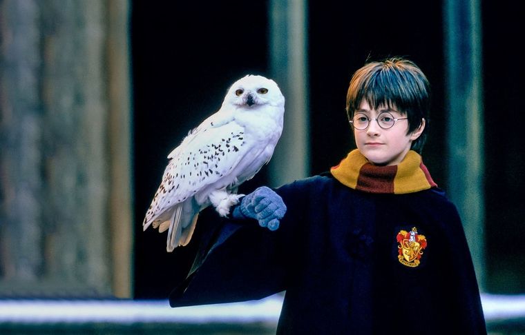 Harry Potter celebra 20 años de su primer filme