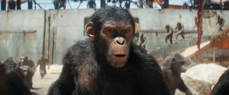 Noa, el protagonista de El Planeta de los Simios: Nuevo Reino