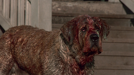 Cujo estrenó en 1983.