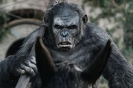 Las mejores películas de El Planeta de los Simios llegan a una nueva plataforma de streaming