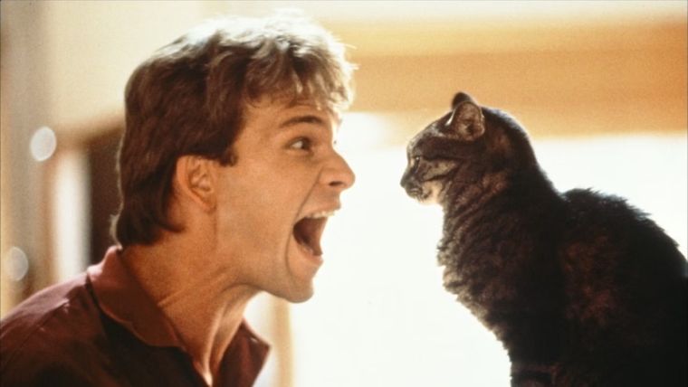 Patrick Swayze protagoniza este icónico filme de los 90