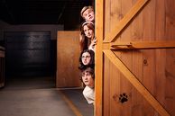 Luego de revelar a sus personajes humanos, Netflix presentó al pequeño Scooby-Doo de la serie.