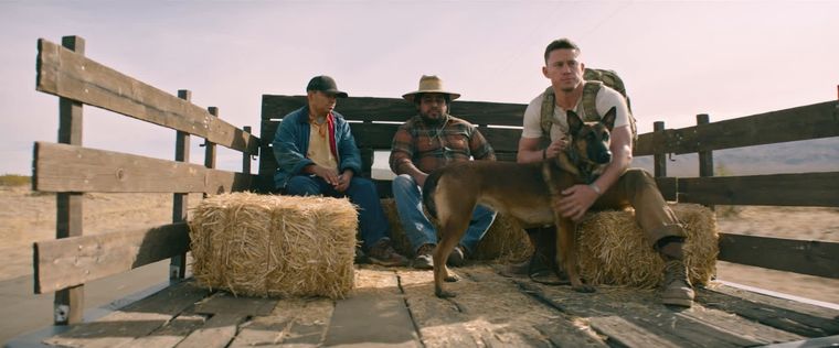 Una historia ideal para amantes los perros