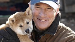 Siempre a tu lado está protagonizada por Richard Gere y Joan Allen