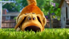 Dug, Russel y el Señor Fredricksen están de regreso